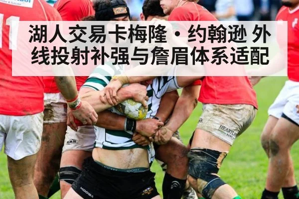 湖人交易卡梅隆·约翰逊 外线投射补强与詹眉体系适配 | j9.com